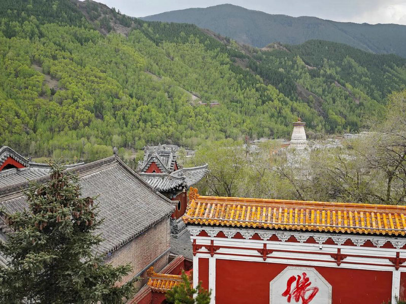 黄景瑜八字分析 黄景瑜和王雨馨有矛盾但却和 黄景瑜八字分析 黄景瑜和王雨馨有矛盾但却和