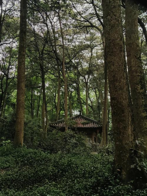 双鱼座和什么座最配? 双鱼座和什么座最配?