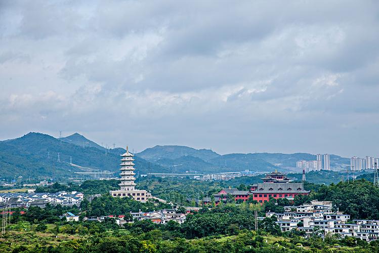 ��Ʒ�����Ӿ� ��Ʒ�����Ӿ糳��