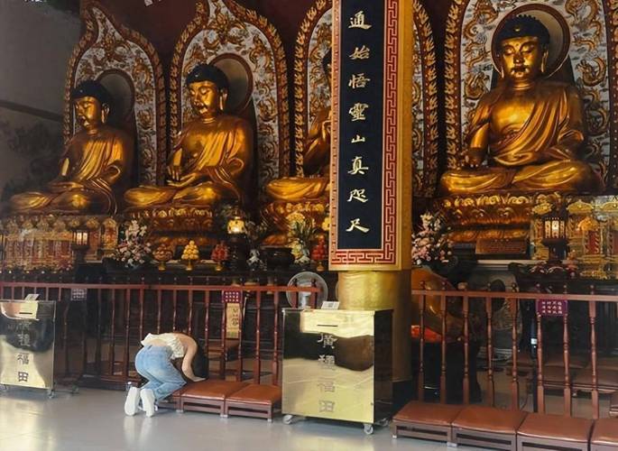 属鼠的年龄对照表 生肖鼠年份对照表年龄 属鼠的年龄对照表 生肖鼠年份对照表年龄