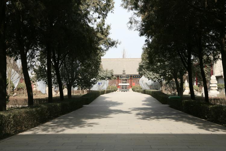 属鸡的风水招财方法 属鸡的风水招财方法