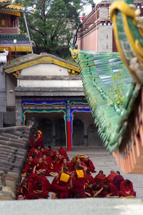 ���µ�����Ա��(���µ�����Ա���������ɫ)