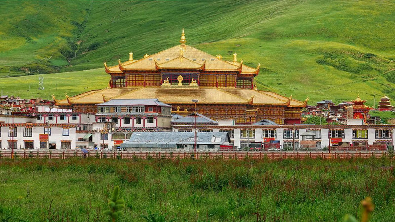 有谁知道黎明演的所有电影谢谢拉?黎明拍过什 有谁知道黎明演的所有电影谢谢拉?黎明拍过什