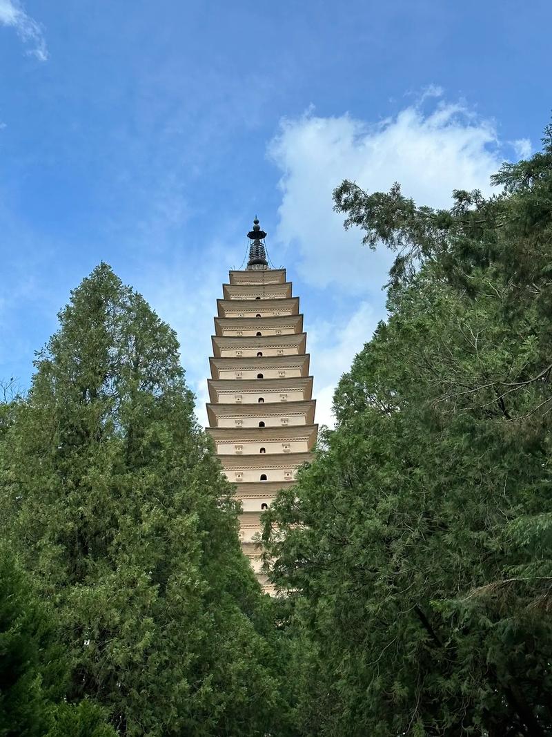 男96年和女97年相配吗 属猪的和什么属相最配 男96年和女97年相配吗 属猪的和什么属相最配