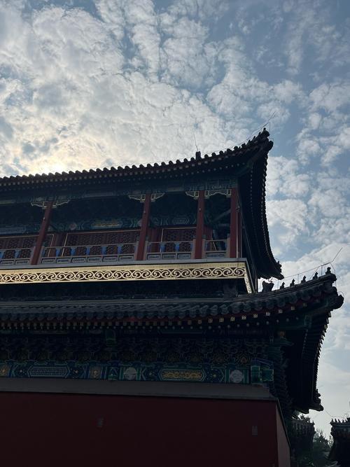 �ӽ�������� �ڲ�������������Ů