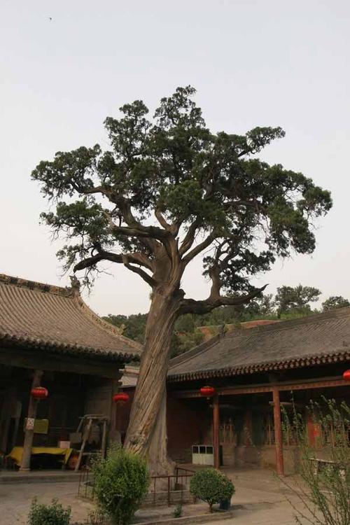 �����ڵ�������ϰ�ף����������ڵ�����