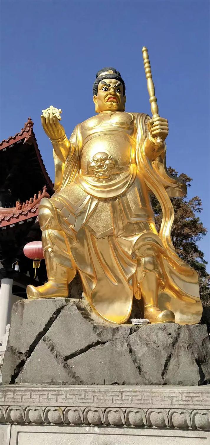 ��΢��������