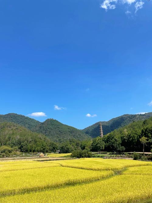 صǩǹ_Եѳ(صǩǹ_޹ϵǷĸǩ)