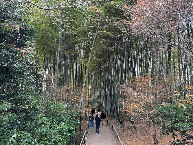 Фս��ѧʱ��Ů������ƬФս��Ů����Фս