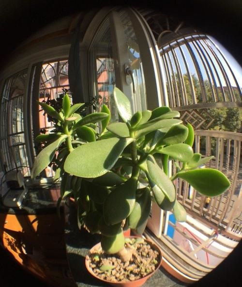 �ϻ������ôд ��һ�ݹŴ��ϻ������������