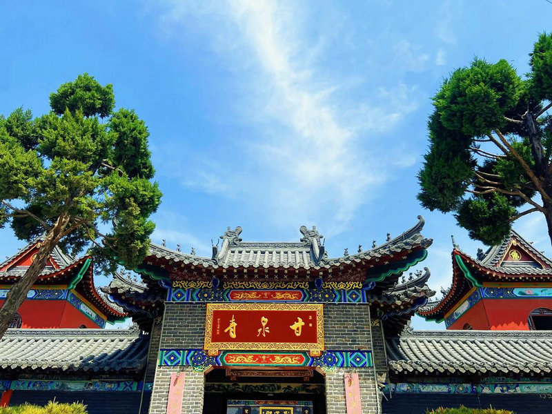 芦荟摆放什么风水位置 芦荟的风水作用与摆放 芦荟摆放什么风水位置 芦荟的风水作用与摆放