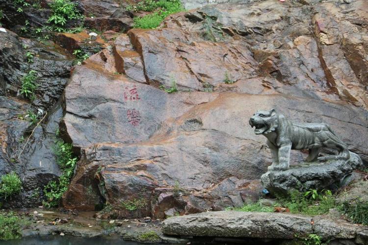 2025属牛人每月运势 2025属牛人每月运势