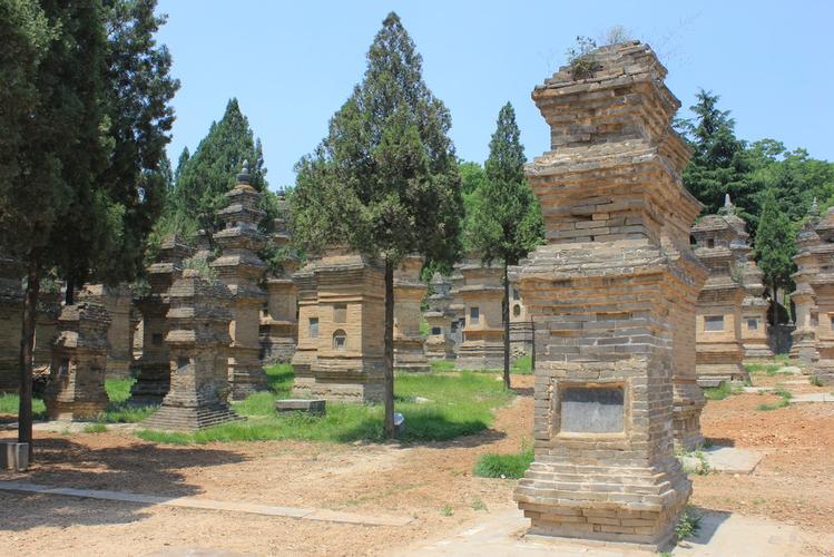 ˮӰҵչĿ׷(ˮǷҵĿȷ˳)