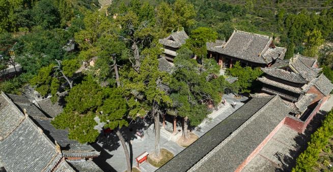 ��լ��Ԫ�����˲Ų���֮��