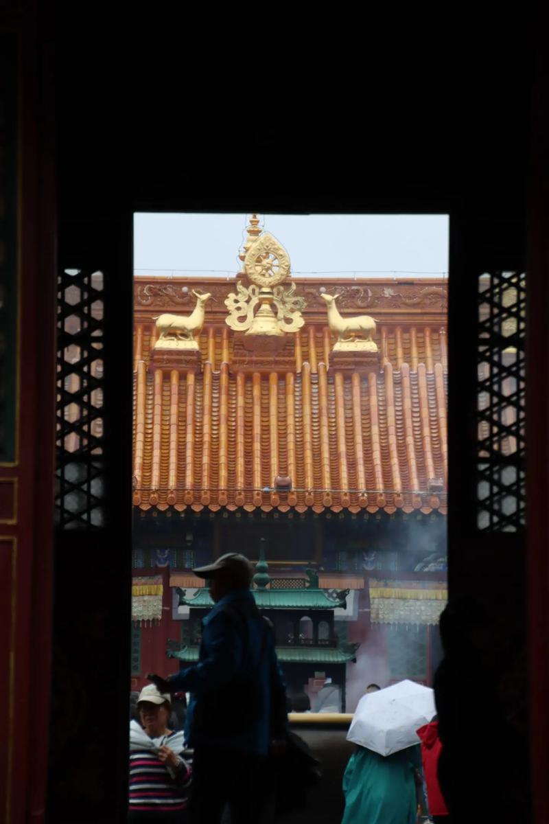 8¶ʮФƲѯοФ뻯(8¶ʮФƲѯӰ뻯׷)