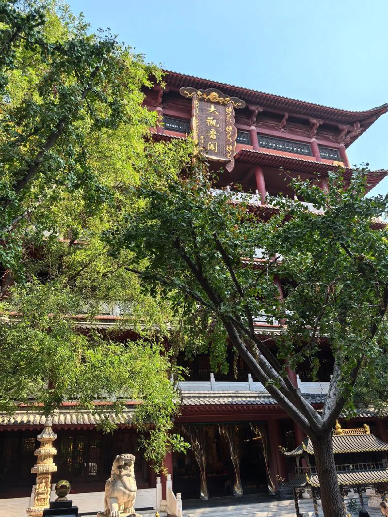梦见自己中奖了打什么号码 梦见别人中奖打什么码 梦见自己中奖了打什么号码 梦见别人中奖打什么码