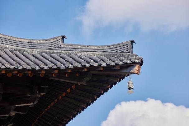 公司种柿子树风水 公司种柿子树风水