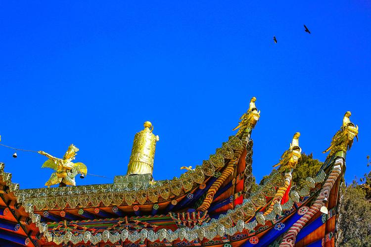 龙岭迷窟电影 龙岭迷窟电影在线观看完整版 龙岭迷窟电影 龙岭迷窟电影在线观看完整版