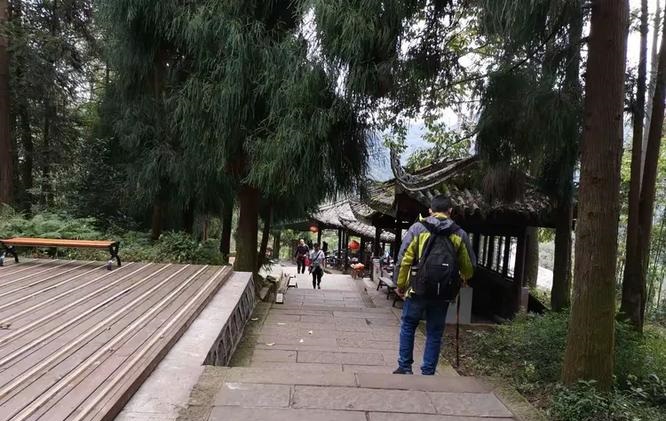 拉萨开光星月菩提 拉萨开光星月菩提