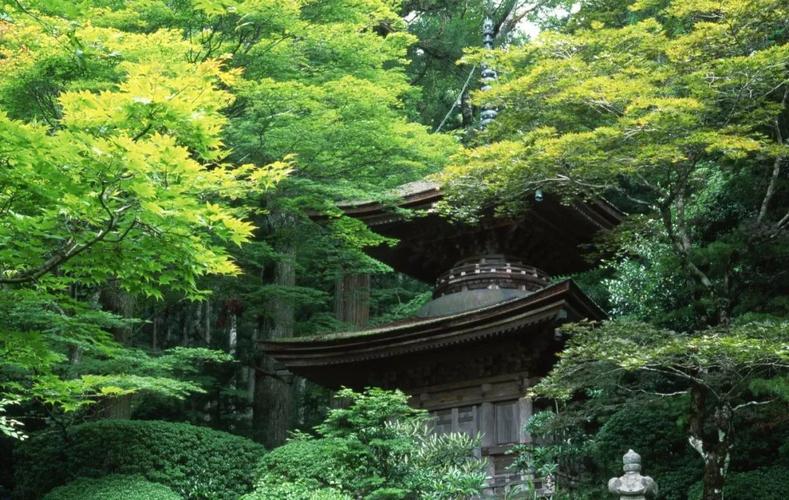 ɲǷʾǱΣ(ɲξʾǱԭ)