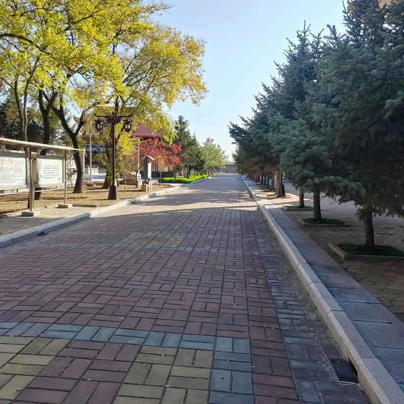 长辈喜欢插手相亲 长辈喜欢插手相亲