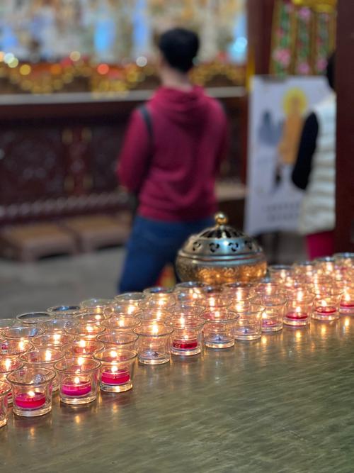 属鼠的人的运势和走势 属鼠的人的运势和走势