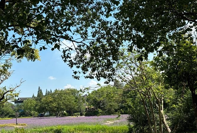 516ܹҵİһ𿴿ǷĽϴ