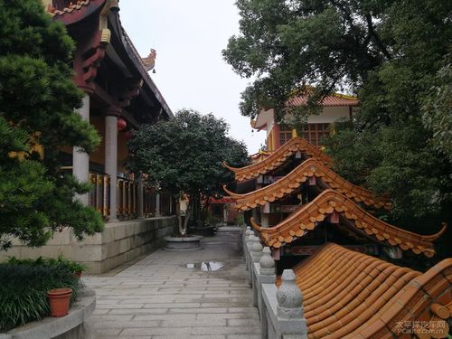实时票房排行电影实时票房排行 实时票房排行电影实时票房排行