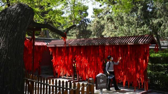 任鲁豫个人资料出生日期 任鲁豫个人资料出生日期