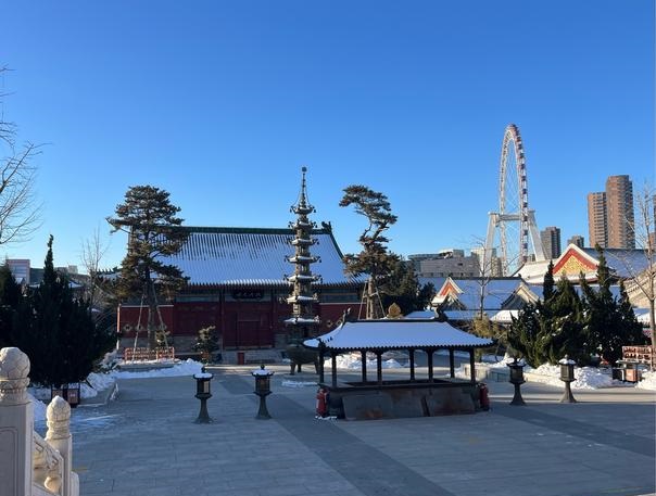 2025��12����ְ������Ԥ��