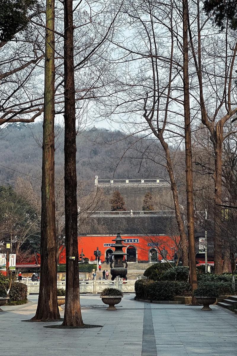 1000种死法第一季 1000种死法第一季