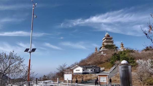 2025��Фţ���˳���֪����