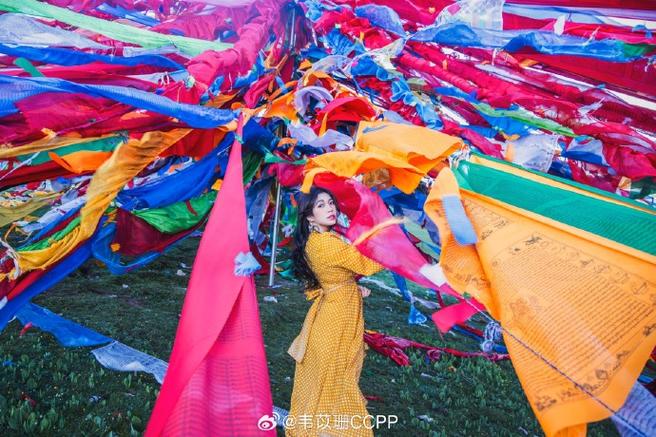 ִǷԤʾĺгҸ(ִӰºͳĺг)