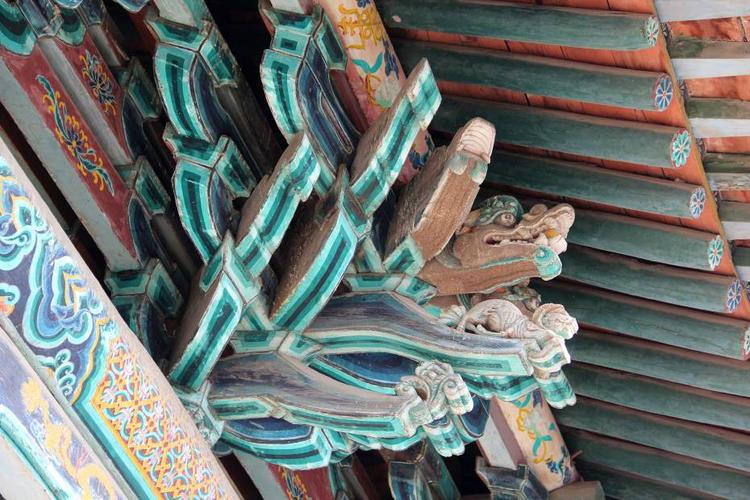 ���˰�������(����������������������)