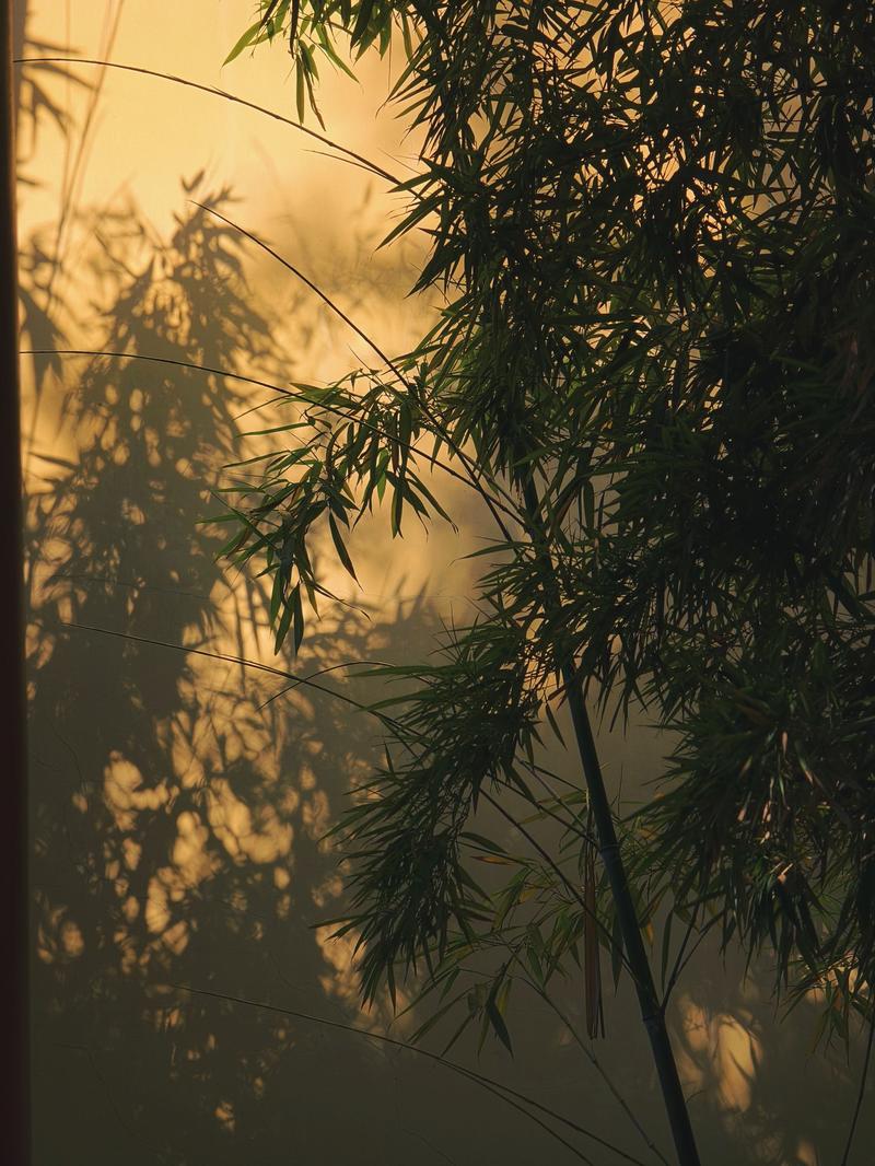 阳宅风水的起源 阳宅风水的起源