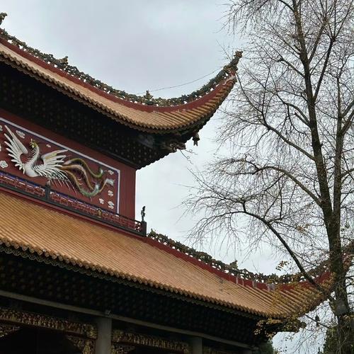 ����¥���ӷ�ˮ����