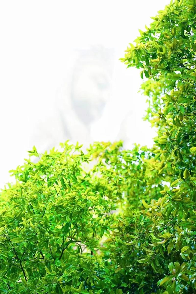 ������ҵ�ܲ���ˮ����