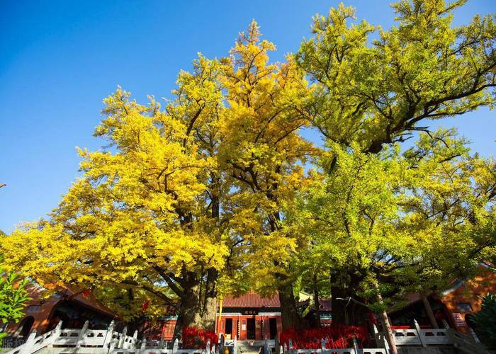 2025��������ʲô��,2025������˵�����