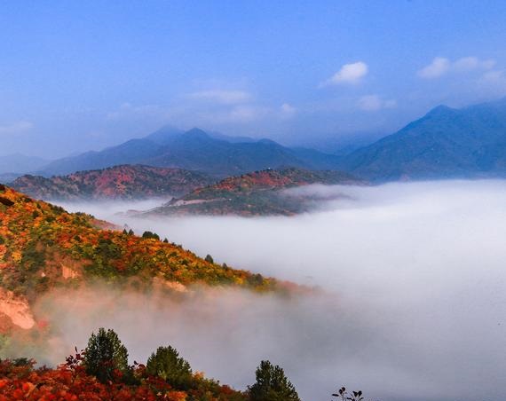 ���ǵϷ����������ϼ��