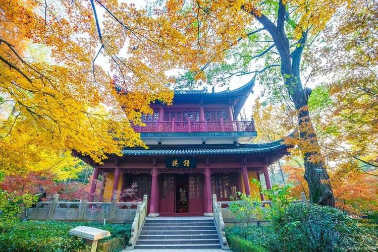 �˼Ҽ�����,�˼Ҽѵ����ô�