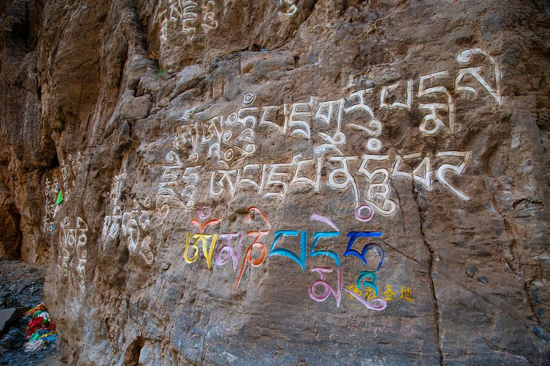 属猪的人生于几时财运好 属猪的人生于几时财运好