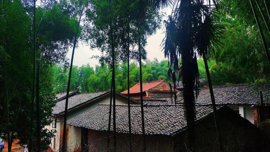 曾哲贞个人档案 曾哲贞个人资料出生日期 曾哲贞个人档案 曾哲贞个人资料出生日期