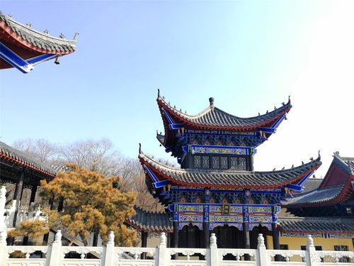 2025年属狗人的全年每月运势,1994年属狗2025年运 2025年属狗人的全年每月运势,1994年属狗2025年运