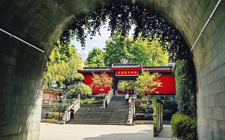 ��ֱ������������