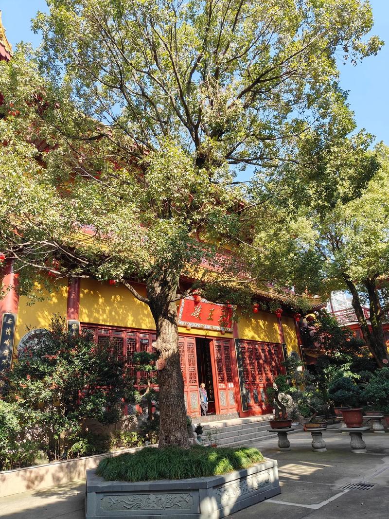 2月27日生日书,2月27日是什么星座 2月27日生日书,2月27日是什么星座