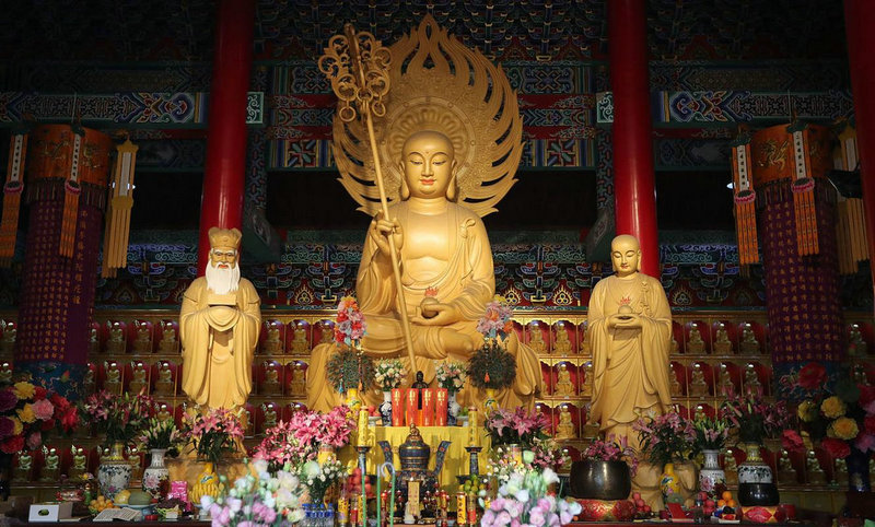 属猪1983的明年运势 1983属猪一生运气怎样是什么意思? 属猪1983的明年运势 1983属猪一生运气怎样是什么意思?