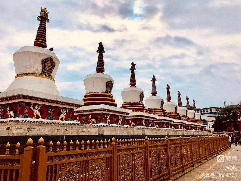 属鼠人2025年5月运势分析 属鼠人2025年5月运势分析