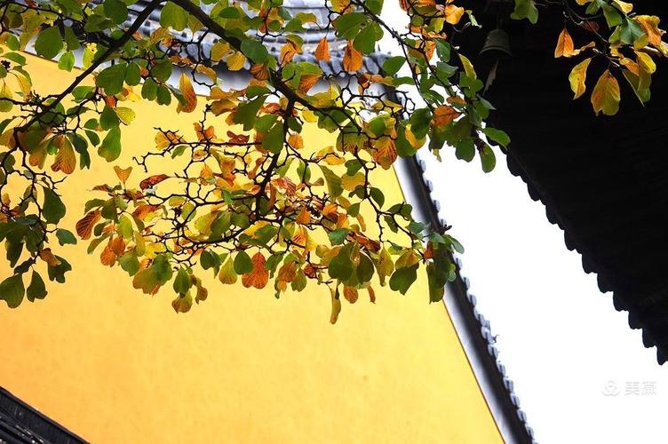 紫微斗数生日换大运 紫微斗数生日换大运