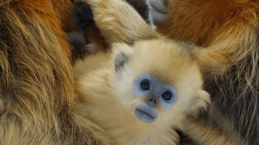 ϱ˾Ӱ캢ӵľɳ(ϱ˾Ϊ뾫ɳϢϢ)