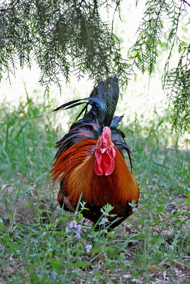 bigbang������ҥ